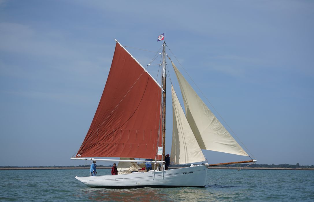 bateau La Flèche, bac ostréicole mixte gréé en sloop