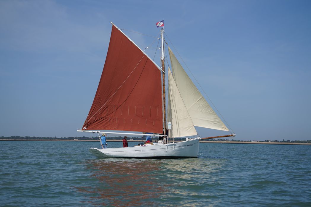 bateau La Flèche, bac ostréicole mixte gréé en sloop