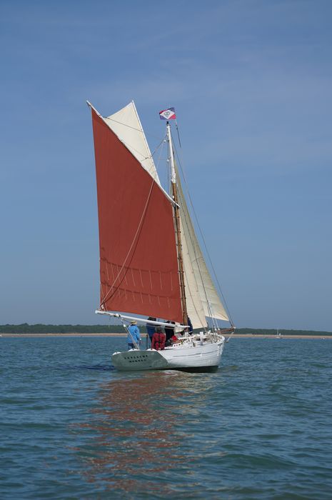 bateau La Flèche, bac ostréicole mixte gréé en sloop