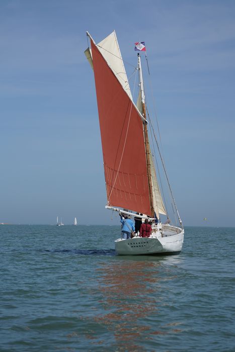 bateau La Flèche, bac ostréicole mixte gréé en sloop