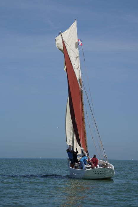 bateau La Flèche, bac ostréicole mixte gréé en sloop