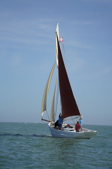 bateau La Flèche, bac ostréicole mixte gréé en sloop