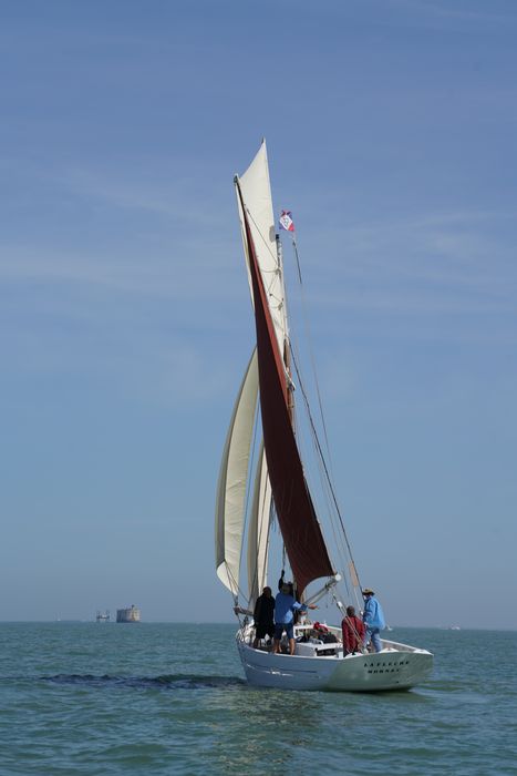 bateau La Flèche, bac ostréicole mixte gréé en sloop