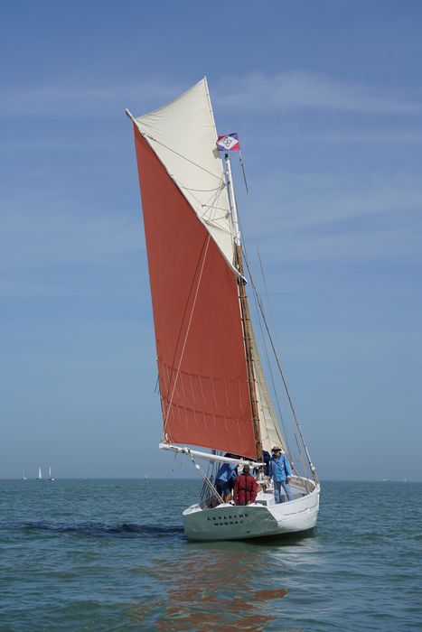 bateau La Flèche, bac ostréicole mixte gréé en sloop