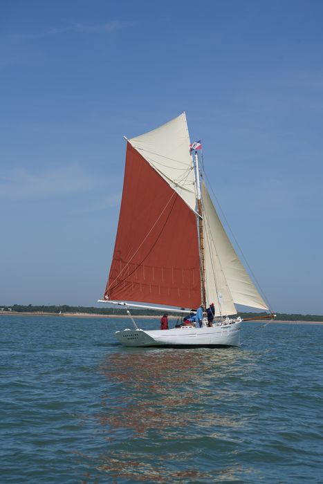 bateau La Flèche, bac ostréicole mixte gréé en sloop