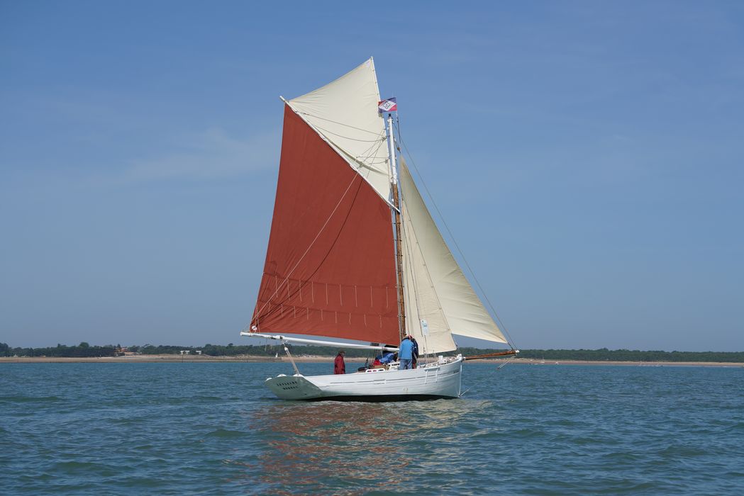 bateau La Flèche, bac ostréicole mixte gréé en sloop