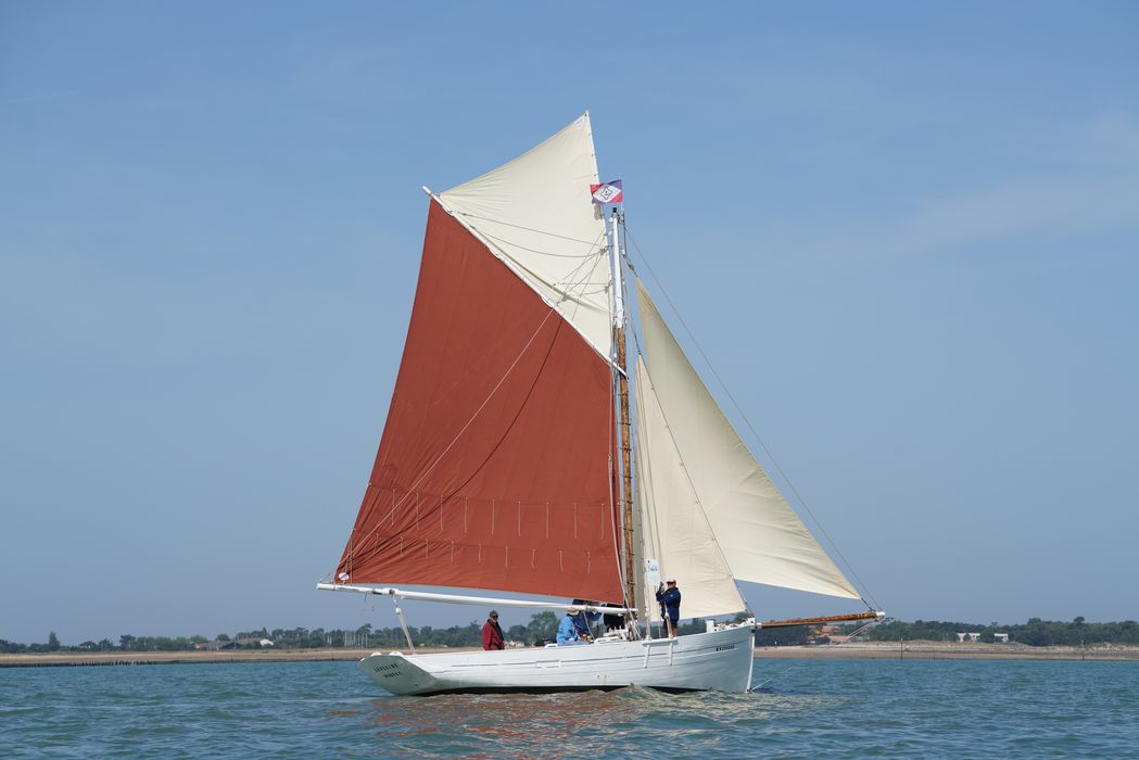 bateau La Flèche, bac ostréicole mixte gréé en sloop