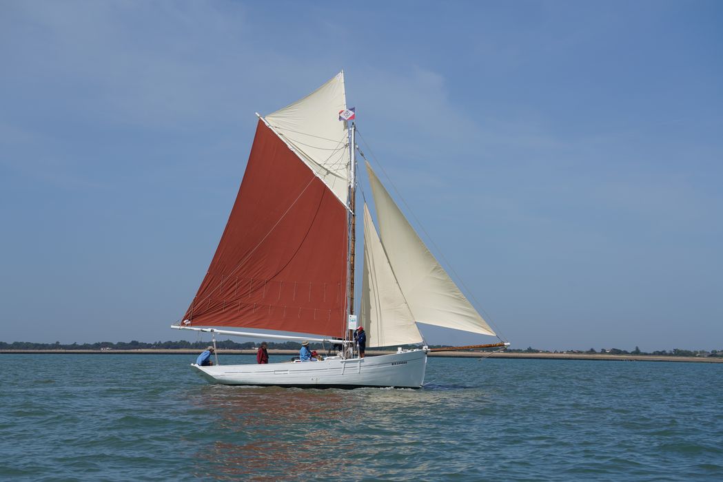 bateau La Flèche, bac ostréicole mixte gréé en sloop