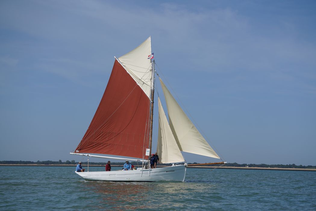 bateau La Flèche, bac ostréicole mixte gréé en sloop