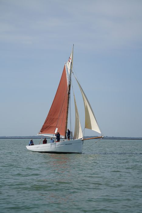 bateau La Flèche, bac ostréicole mixte gréé en sloop