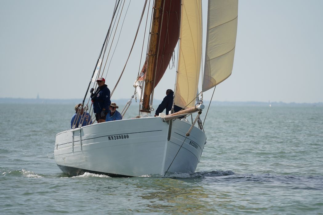 bateau La Flèche, bac ostréicole mixte gréé en sloop