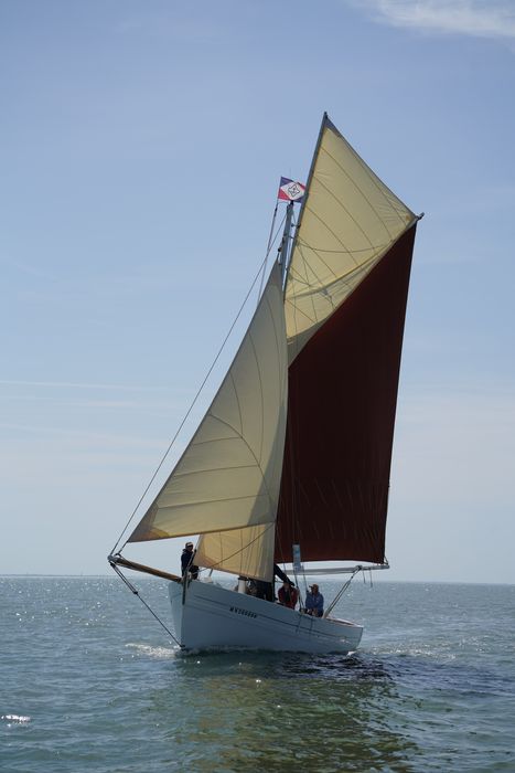 bateau La Flèche, bac ostréicole mixte gréé en sloop