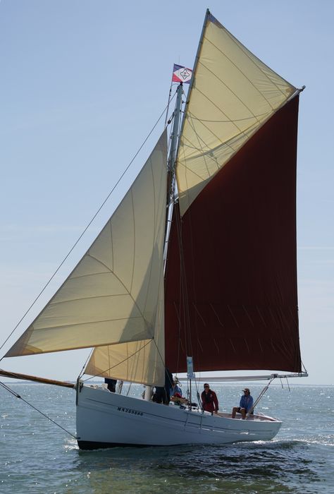 bateau La Flèche, bac ostréicole mixte gréé en sloop