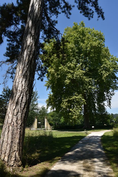 chemin