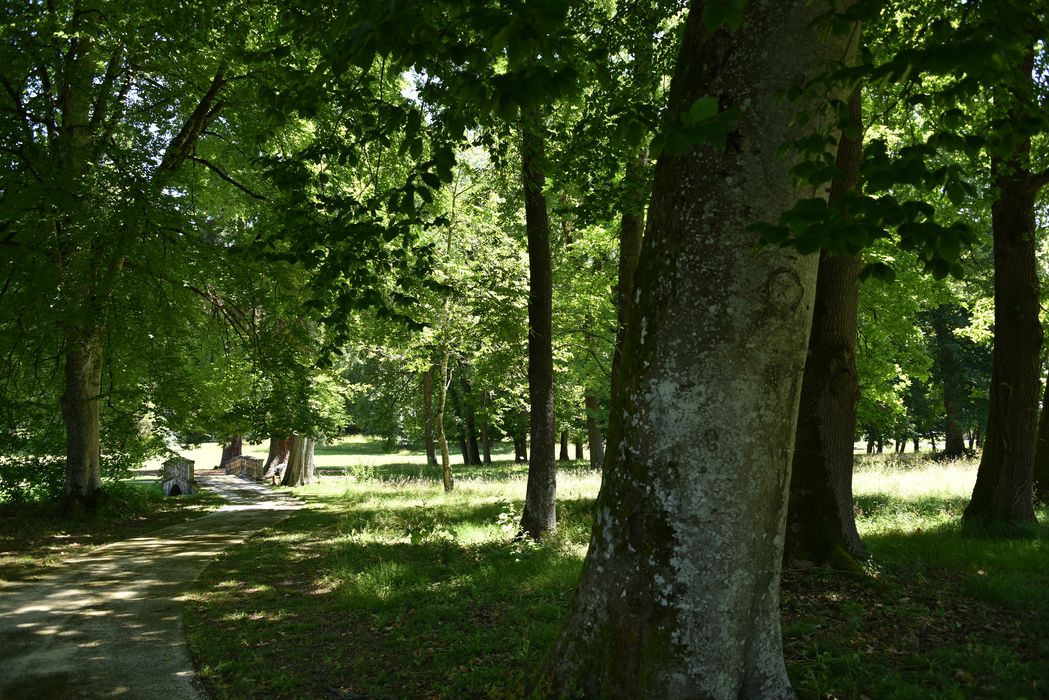 allée arborée