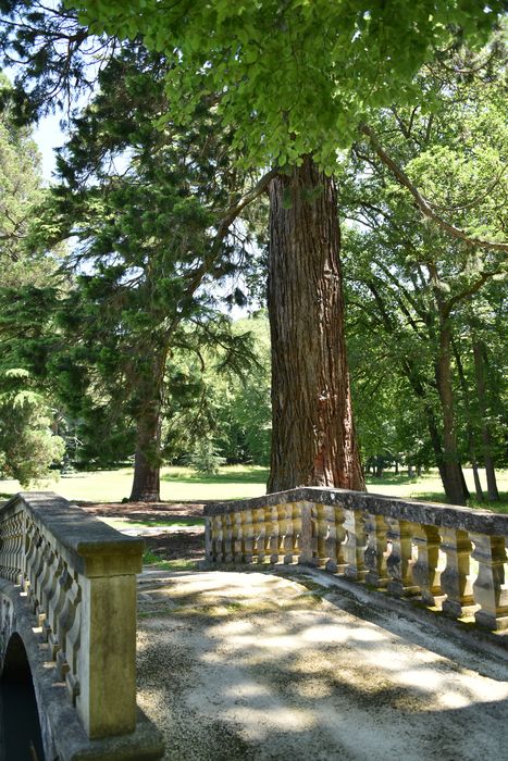 pont sur la canal, arbres remarquable (séquoia)