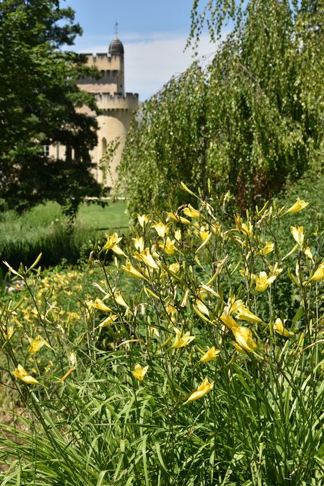 fleurs