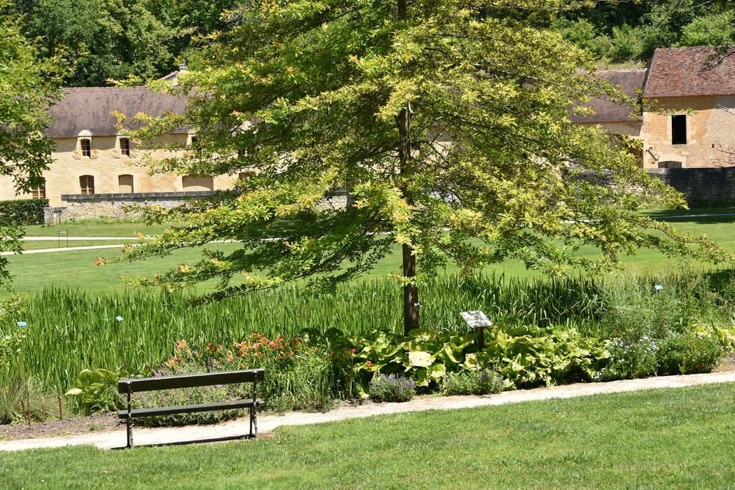 arbres remarquable, massif fleuri
