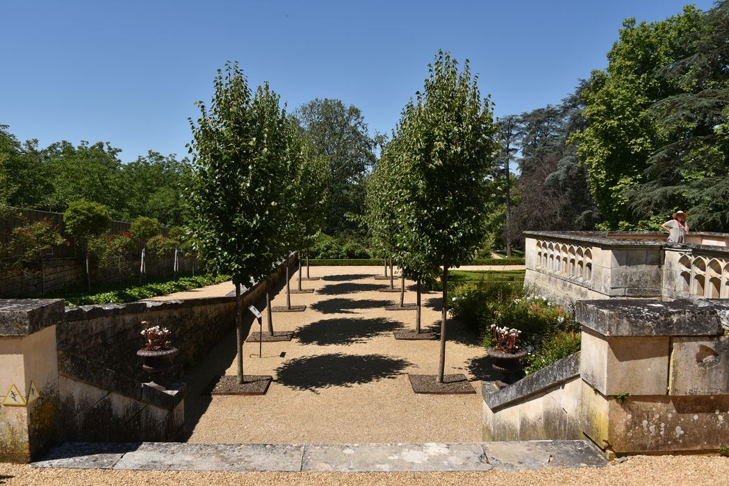 allée arborée