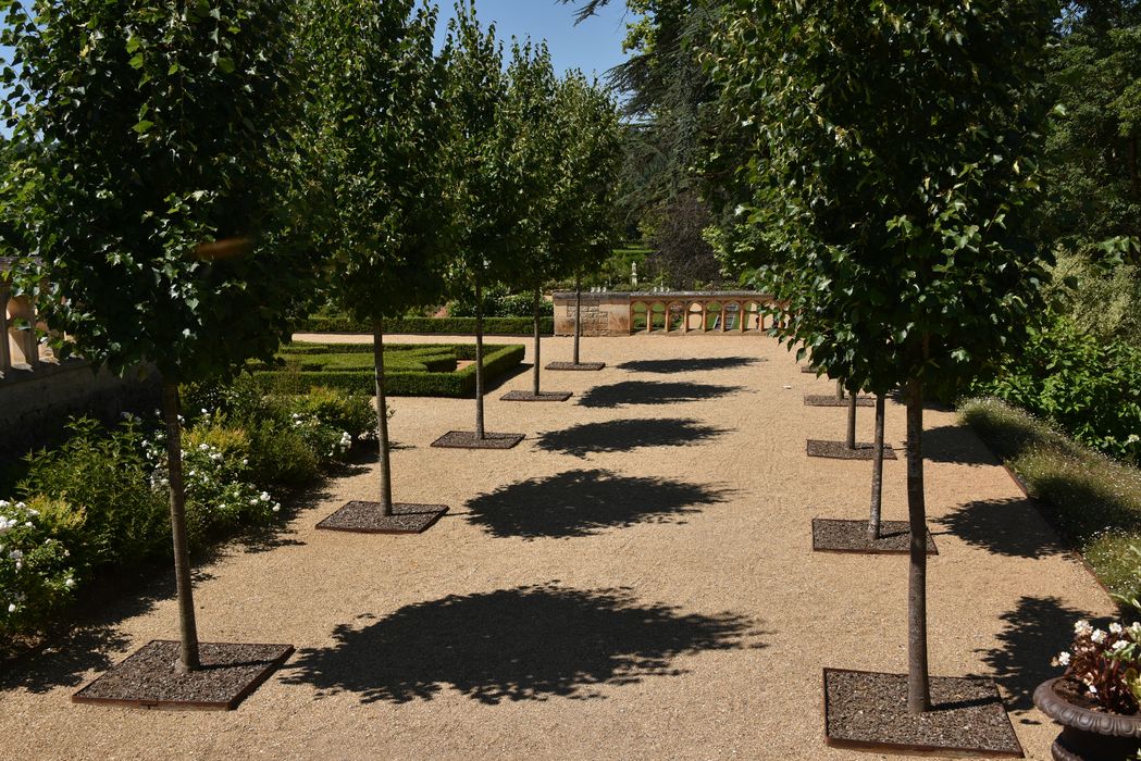 allée arborée