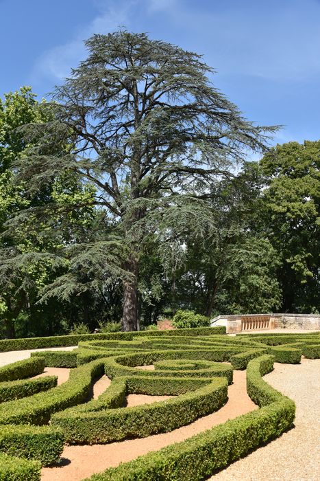 parterre (art topiaire)