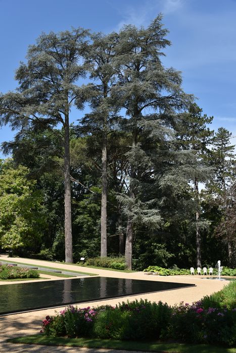 massif fleuri, arbres remarquables
