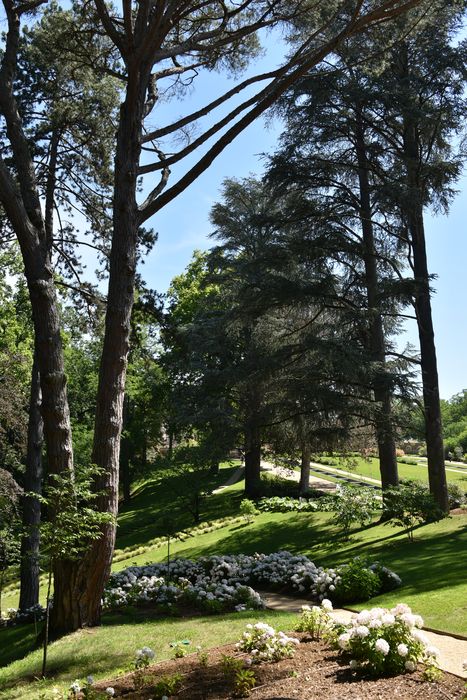 chemin et parterre (art topiaire), arbres remarquables