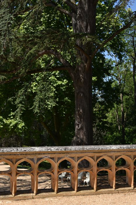 arbre remarquable, balustrade