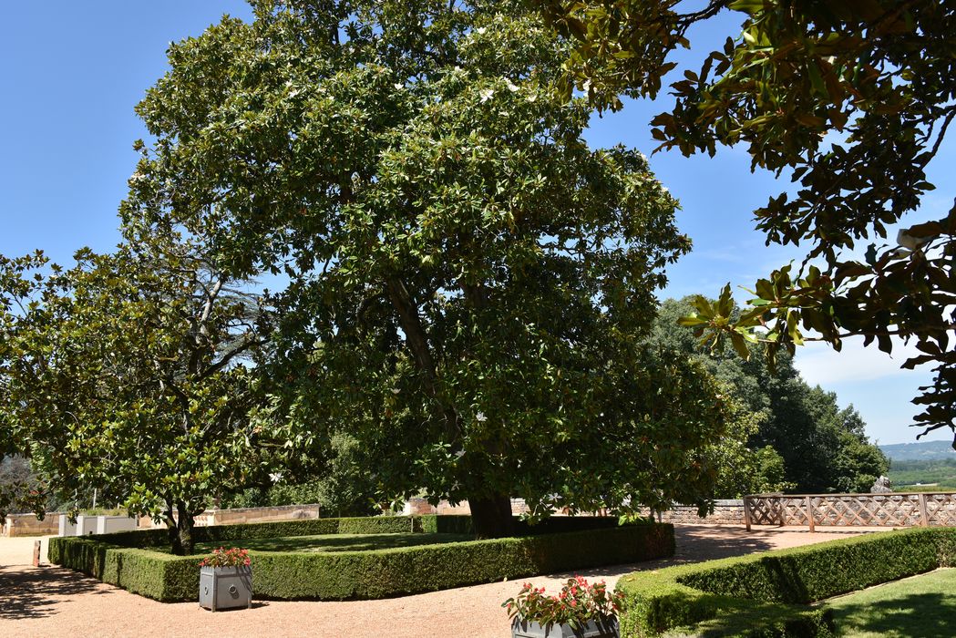 arbres remarquable, broderies (art topiaire)