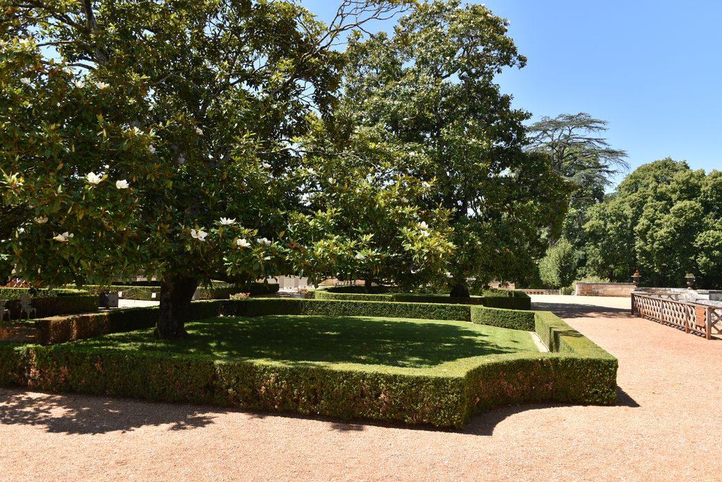broderies (art topiaire), arbres remarquables