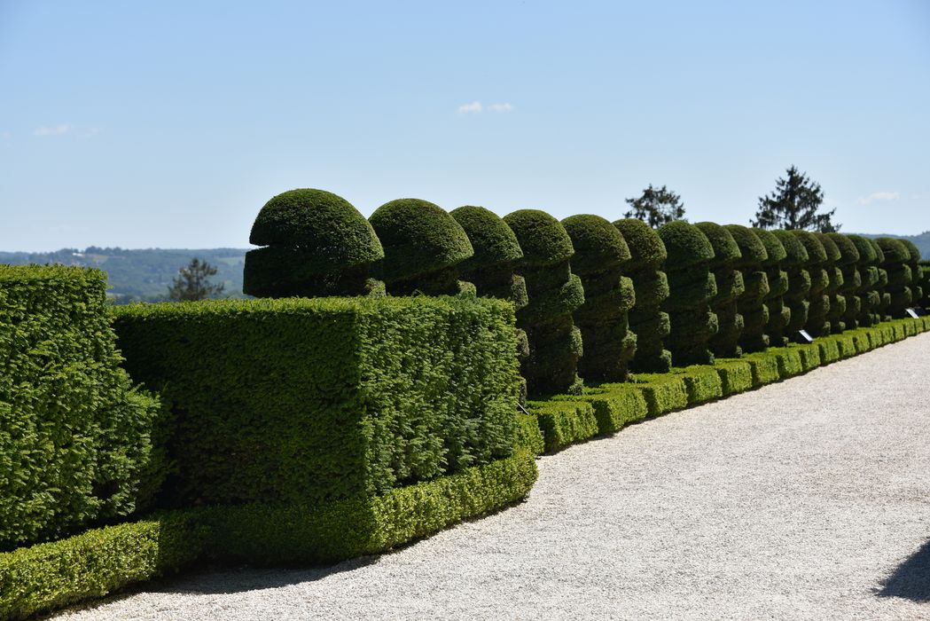 haies, broderies (art topiaire), détail