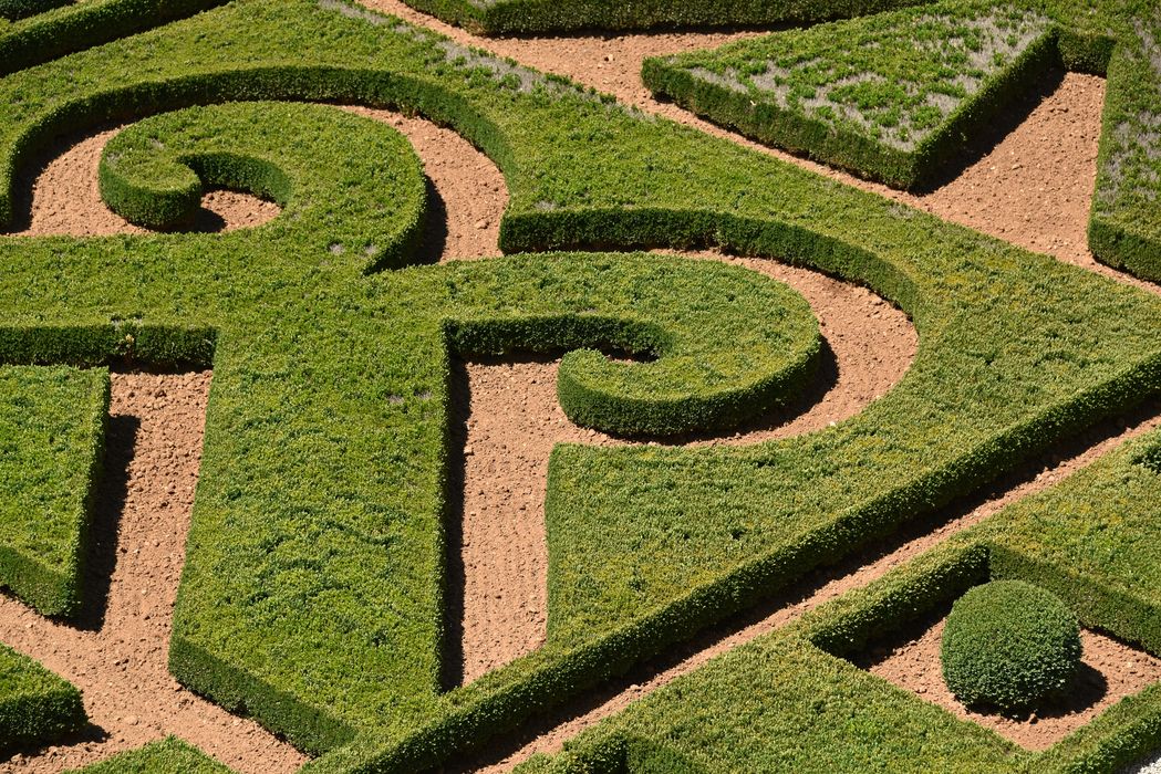 parterre (art topiaire), détail