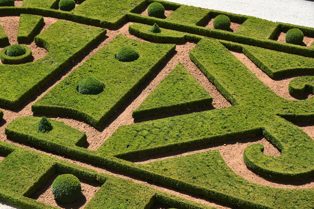 parterre (art topiaire)