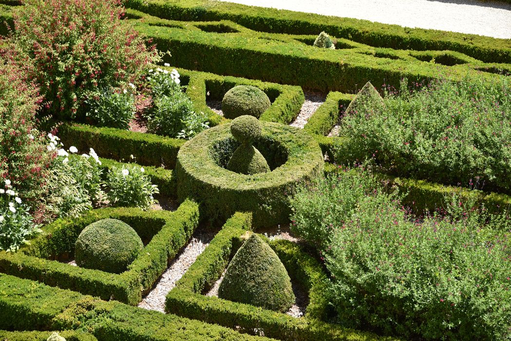 parterre (art topiaire)