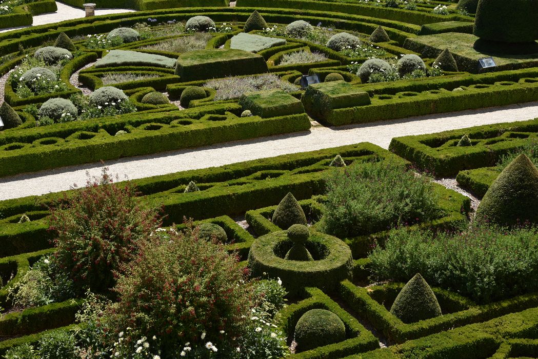 parterre (art topiaire)