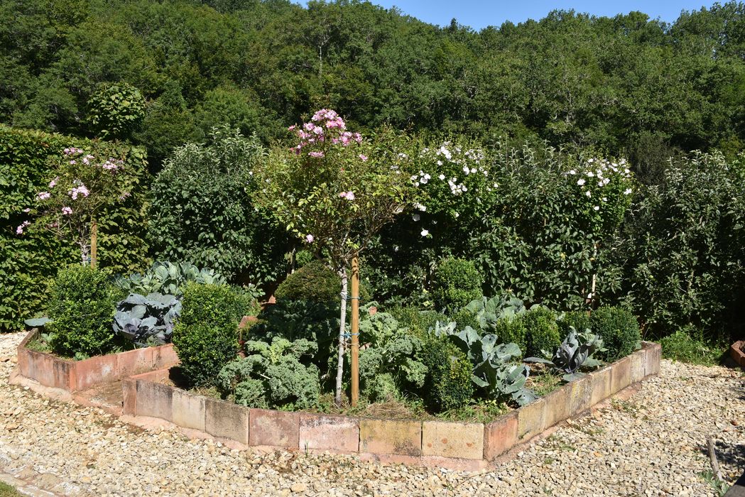 plantes et potager, détail