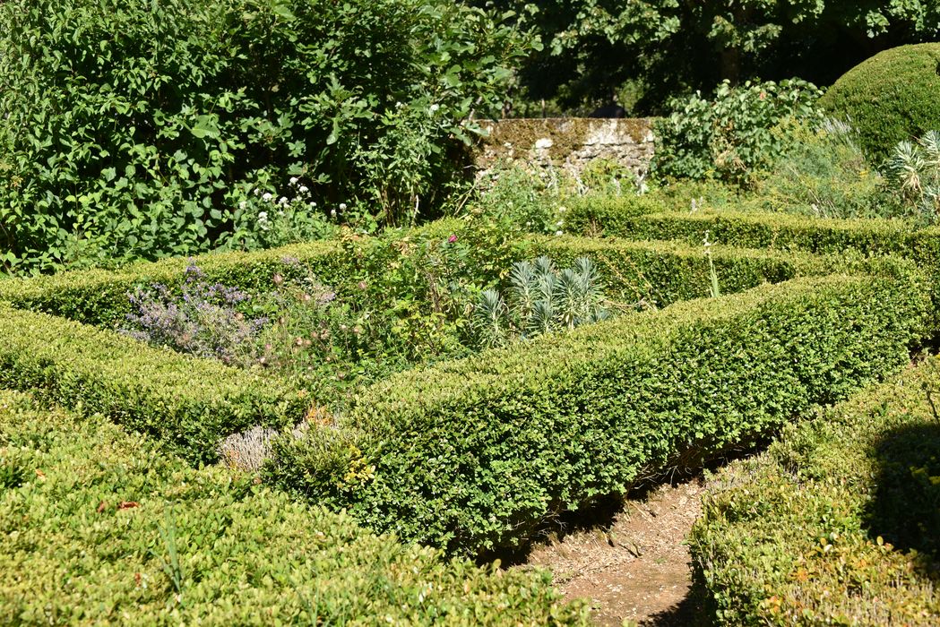 broderies (art topiaire)