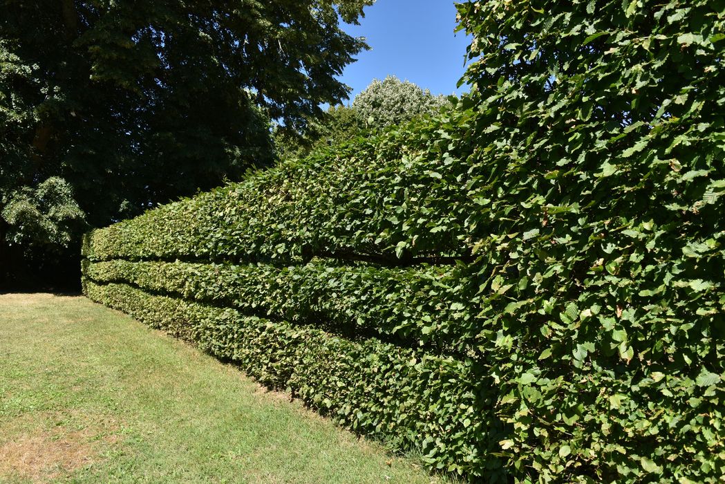 bordures (art topiaire)