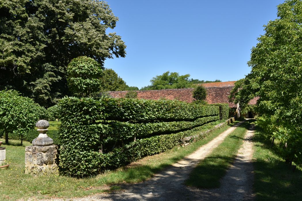 broderies (art topiaire)