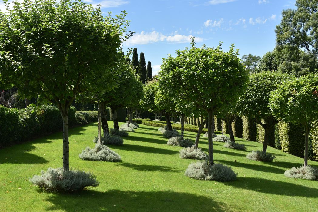 allée arborée