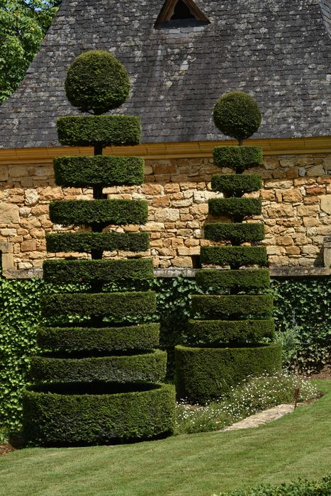 broderies (art topiaire), arbres