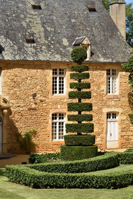 broderies (art topiaire), arbre