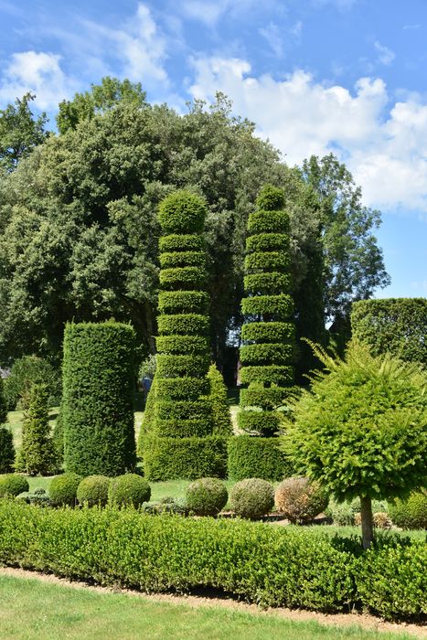 arbres, bordures (art topiaire)