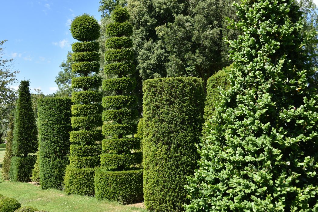 arbres, bordures (art topiaire)