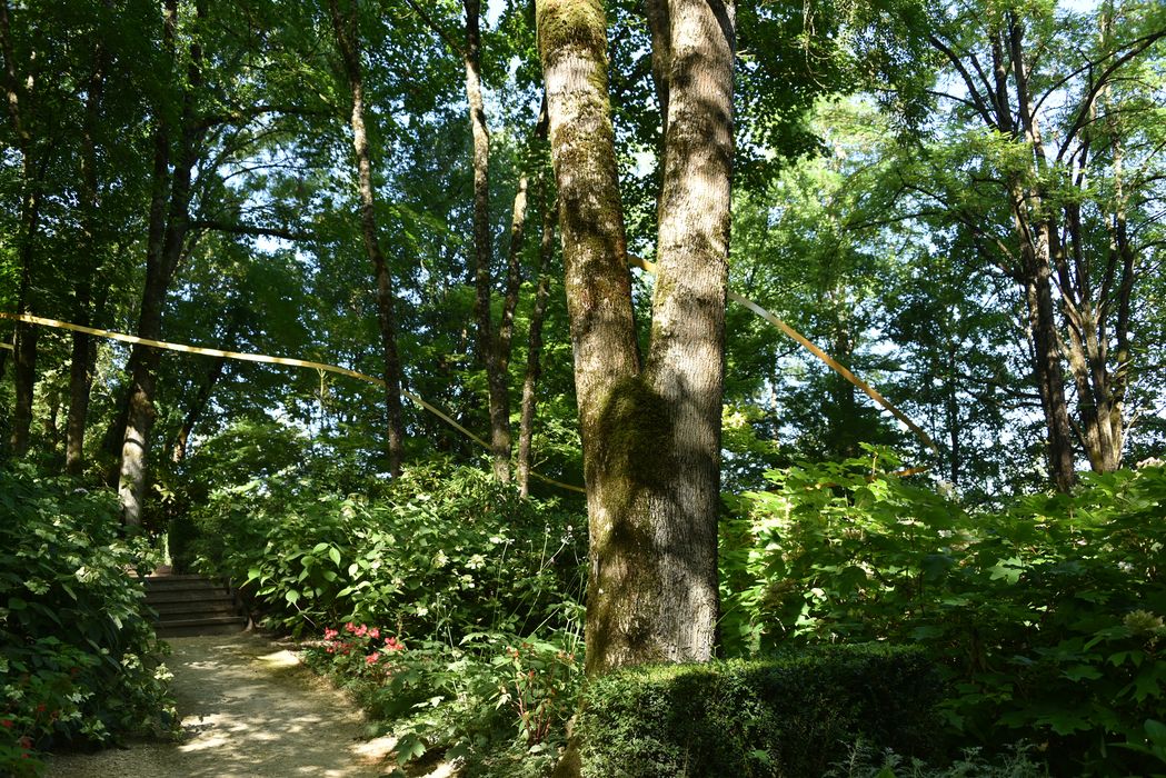 petit bosquet, installation d’art
