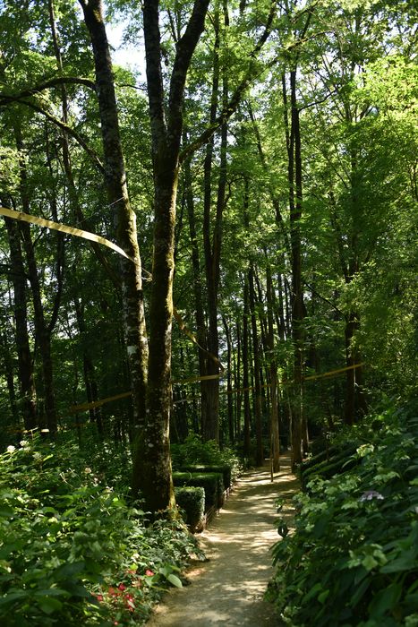 petit bosquet, chemin, installation d’art