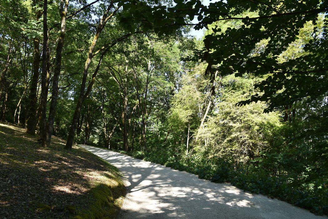 chemin et petit bosquet