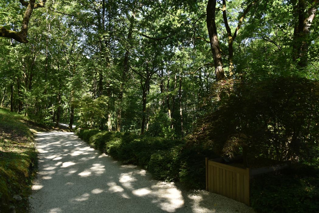 chemin et petit bosquet