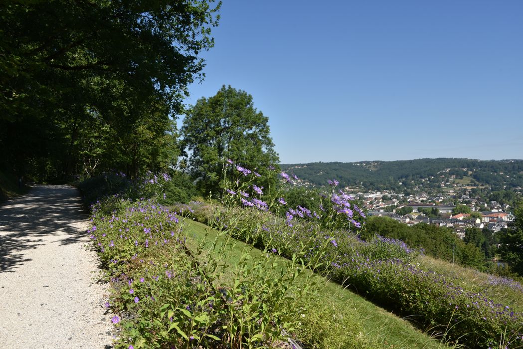 plantes, massif fleuri