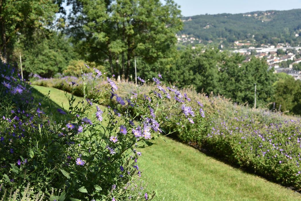 plantes, massif fleuri